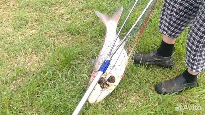 Рыбалка, беседки