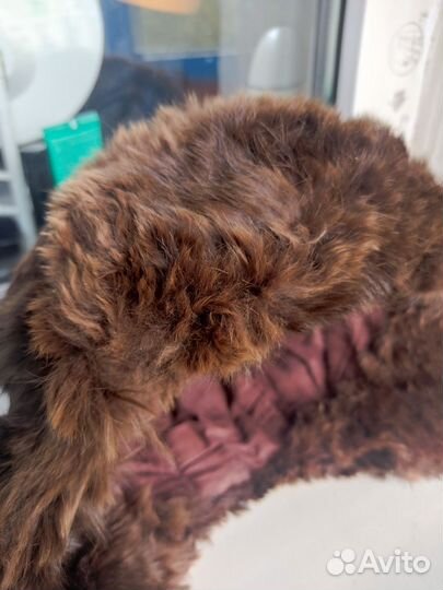 Шапка детская