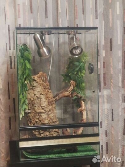 Террариум для хамелеона