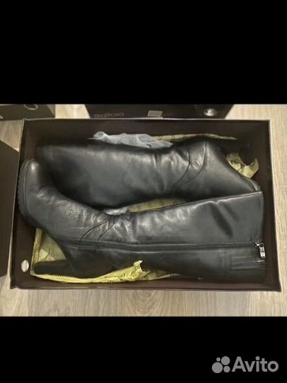 Эконика зима 39, новые