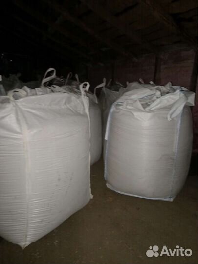 Просо красное