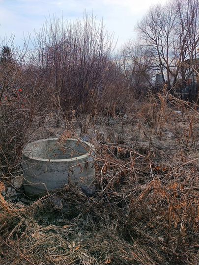 Участок 5,5 сот. (СНТ, ДНП)