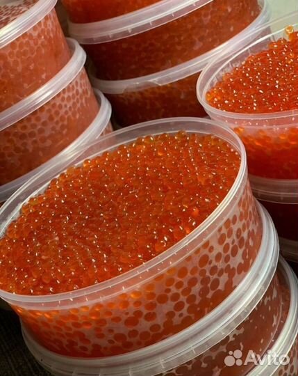 Красная икра Кета 2024г