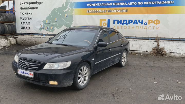 Накладка стекла переднего левого Hyundai Grandeur (TG) 82210-3L000