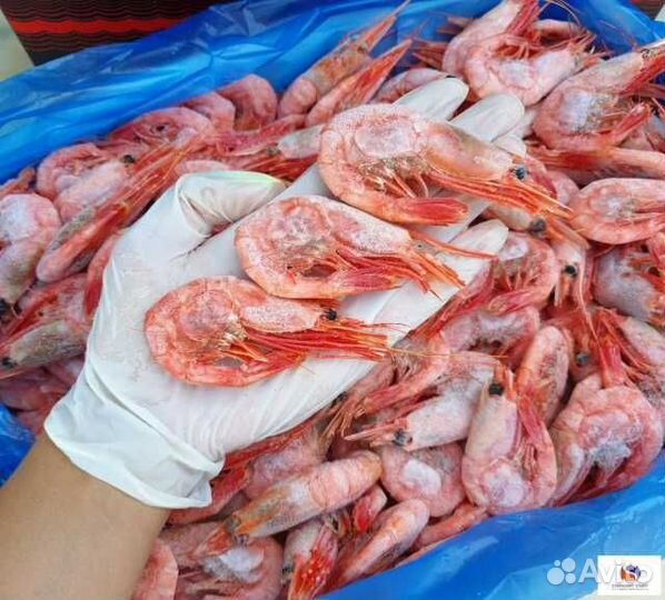 Упаковщик морепродуктов.Работа с Жильём.Питанием