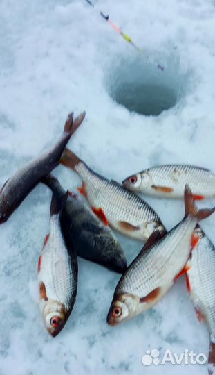 Рыболовные снасти