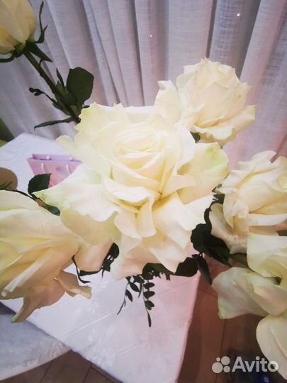 Розы белые, высокие 60 см