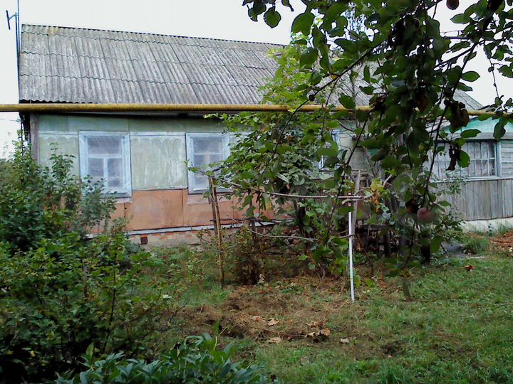 Дом 57 м² на участке 46 сот.