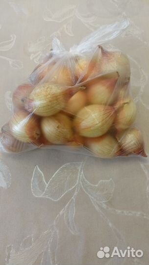 Лук семейка