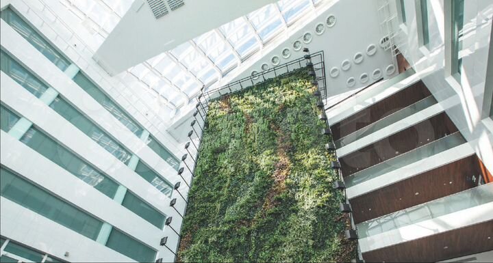 ПСН общ. площадь 89,11м²