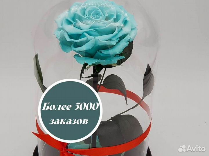 Роза в колбе. Вечная