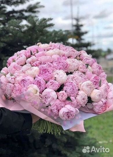 Пионы Цветы Доставка