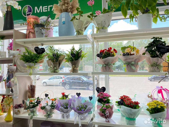 Продажа готового бизнеса цветочный магазин