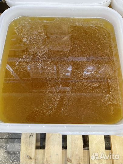 Свежий мед цветочный оптом