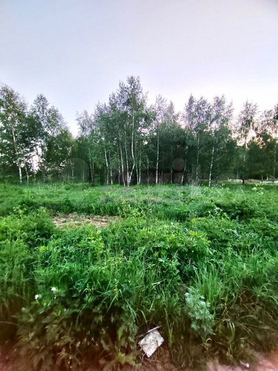 Участок 22 сот. (ИЖС)