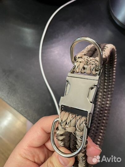 Ошейник для собак