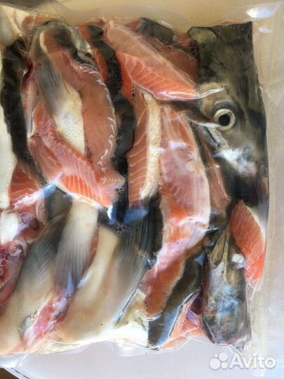 Рыба свежая