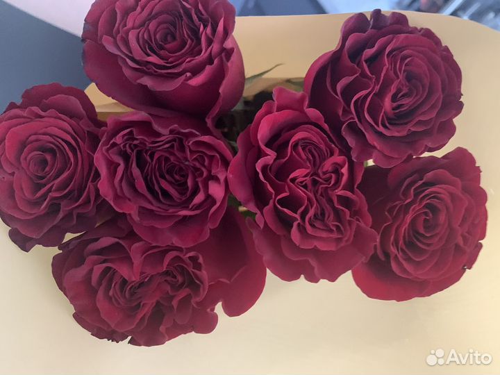 Букет из 7 пионовидных роз