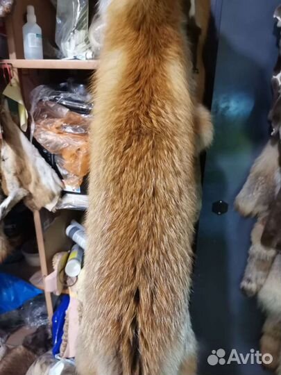 Выделка дикой пушнины