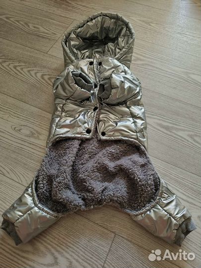 Одежда для собак