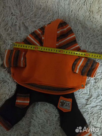 Боди для маленькой собачки