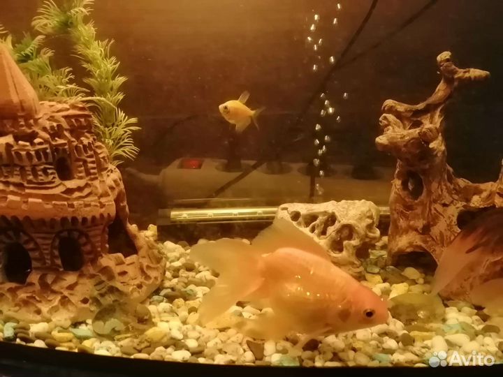 Аквариум 60л