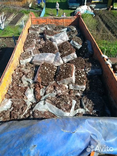 Перегной, компост из под шампиньонов