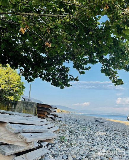 Отдых в Абхазии