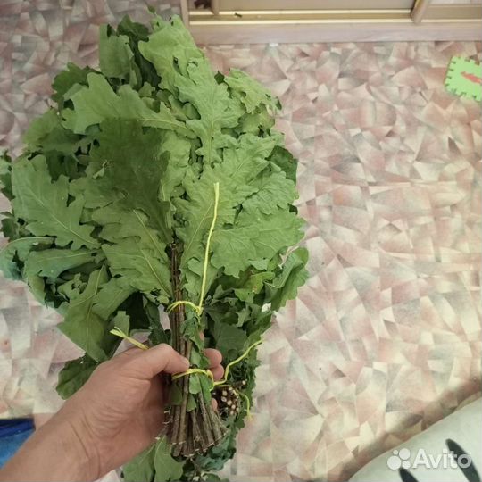 Дубовые и березовые веники для бани 2022 год