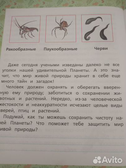 Окружающий мир растения и животные