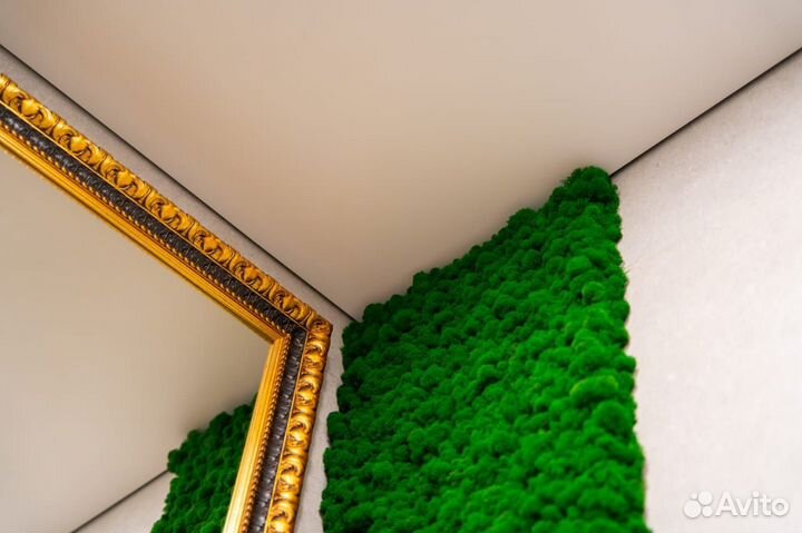 Мох ягель стабилизированный для декора