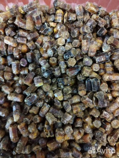 Перга, прополис