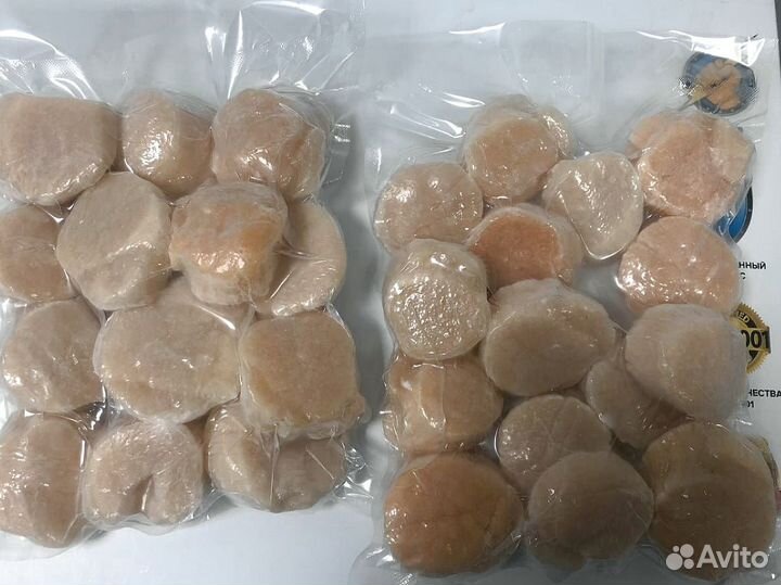 Гребешок Сахалин