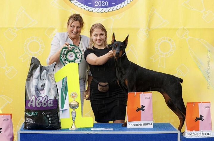 Услуги хендлера