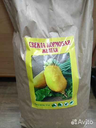 Свекла кормовая. Свекла кормовая жёлтая