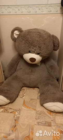 Плюшевый медведь