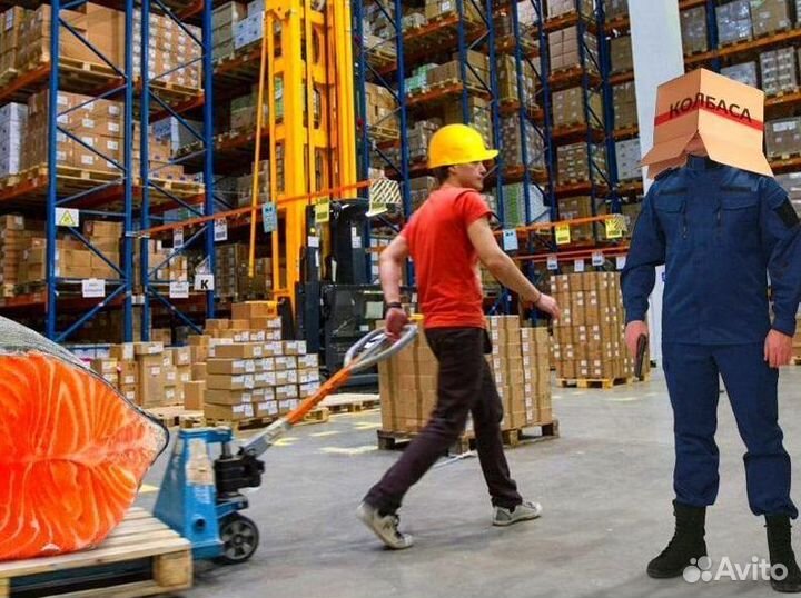 Вахта Разнорабочий 21 смен без опыта в Москве