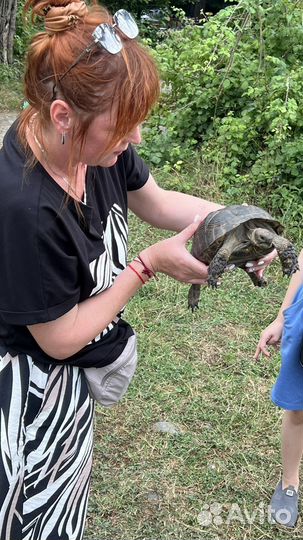 Тур в Самурский лес