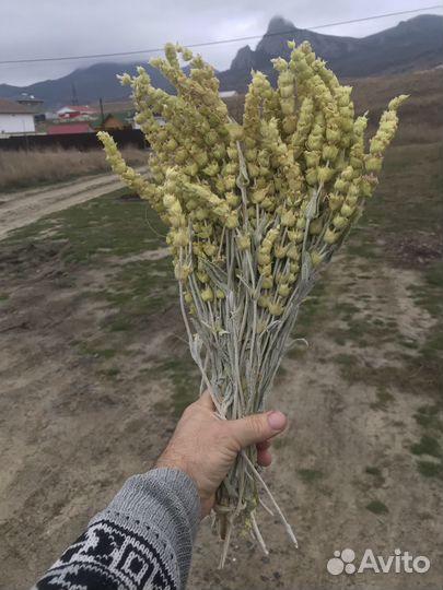 Железница Крымская