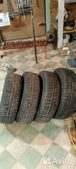 Cordiant Polar 2 175/70 R13