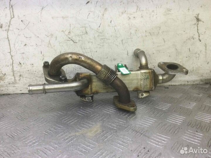 Радиатор EGR Volkswagen Sharan 038131513l Auy