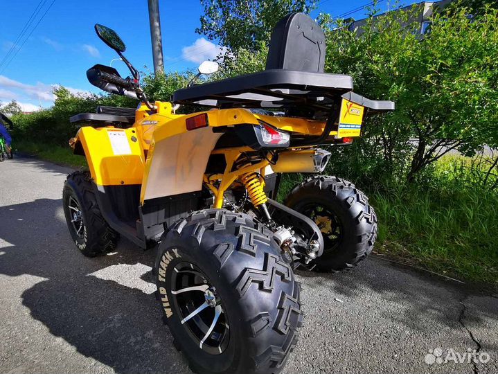 Motoland (мотоленд) 200 wild track X PRO-sport