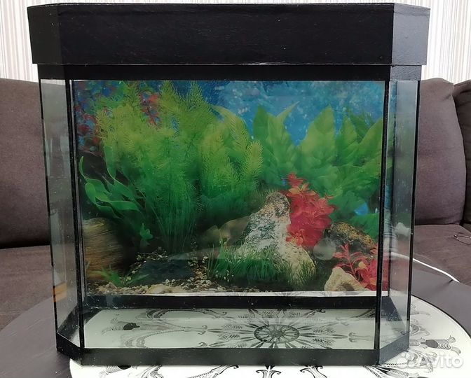 Аквариум 20 л