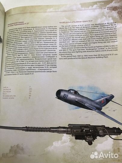 Два века славы. Ижевское оружие. Книга