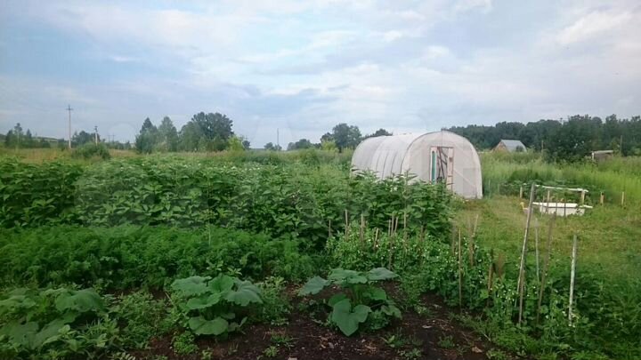 Дом 36 м² на участке 30 сот.