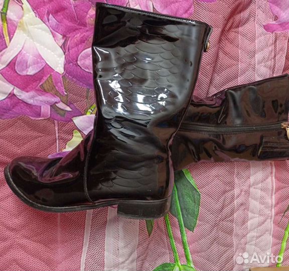 Сапоги демисезонные