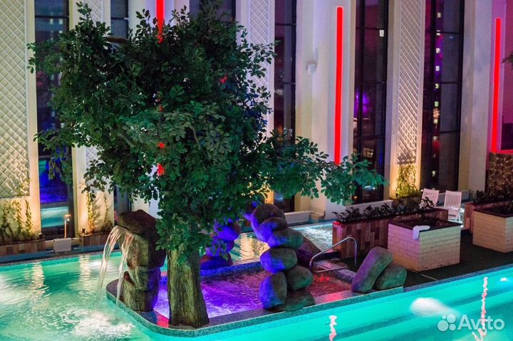 Абонемент в фитнес клуб зебра Клен