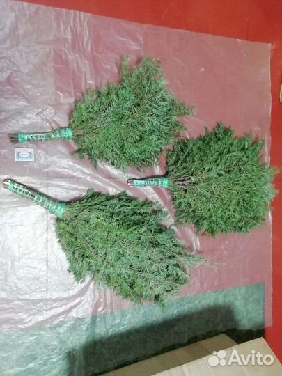 Веники для бани можевеловые