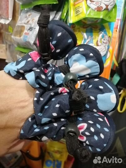 Одежда, обувь для собак