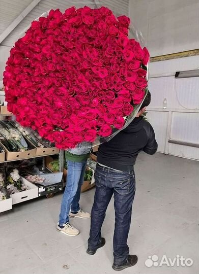 Высокие Розы с Доставкой